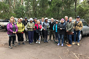 RA50 Walking Group fitness classes Melbourne